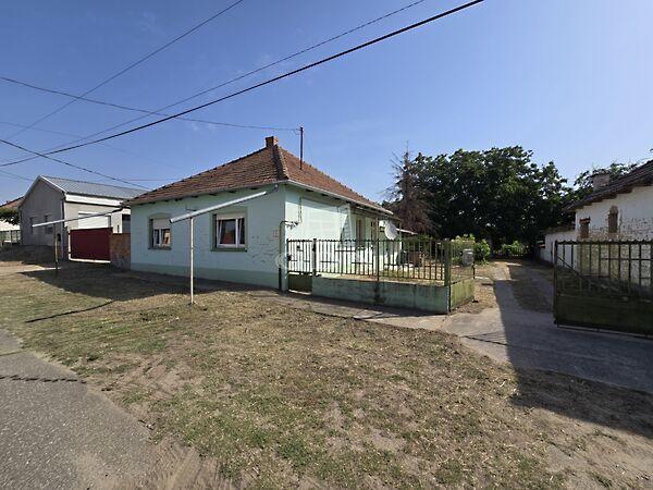 Széchenyi István, Borota 3. képe