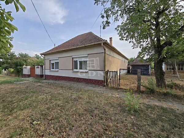 Szent István, Madaras képe