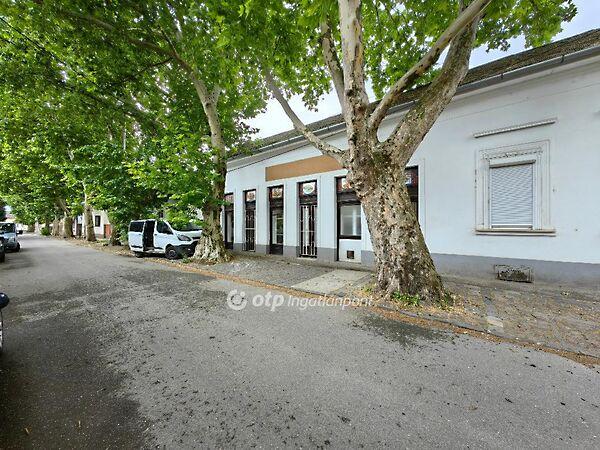 Kisújszállás 2. képe