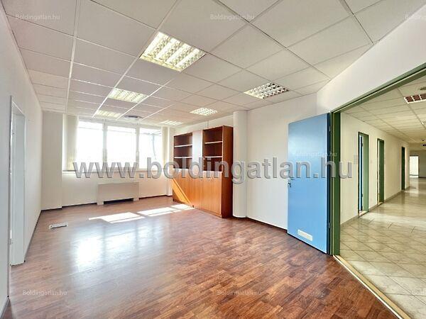 Petőfi, Kaposvár képe