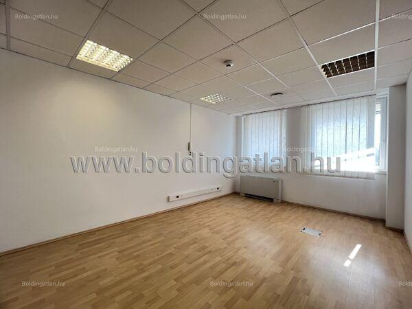 Petőfi, Kaposvár képe