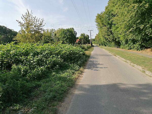 Szőlősgyörök 2. képe