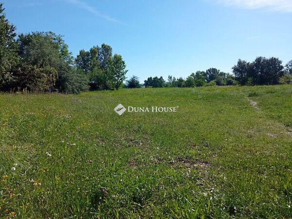 Kolumbusz, Etyek 3. képe