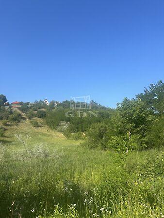 Isaszeg, Isaszeg képe