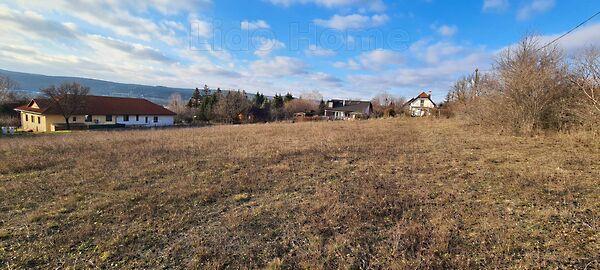 Balatonfűzfő képe