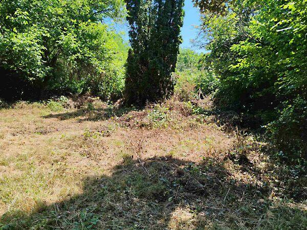 Balatonkenese 3. képe