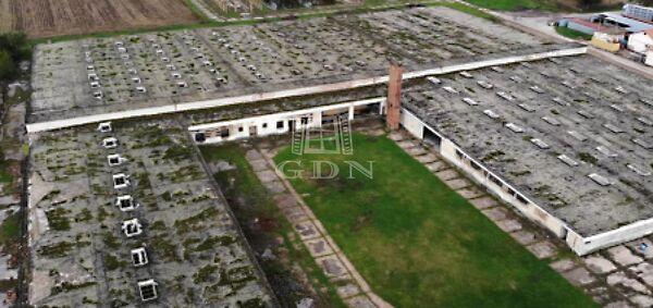 311-es út, Cegléd képe