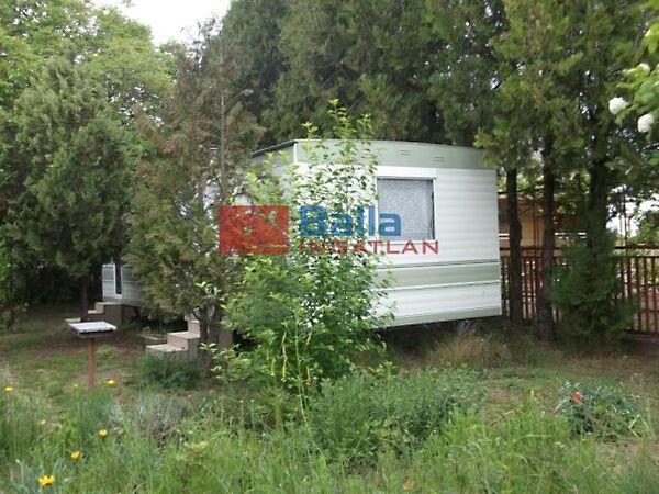 Akác, Tiszakécske 2. képe