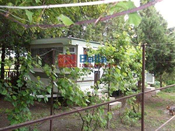 Akác, Tiszakécske 3. képe