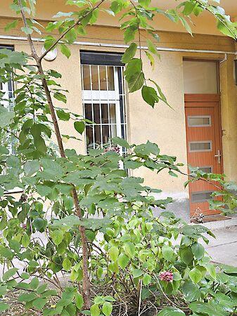 Róna, Budapest, XIV. kerület 3. képe