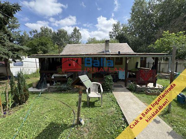 Hömöktövis, Ráckeve képe