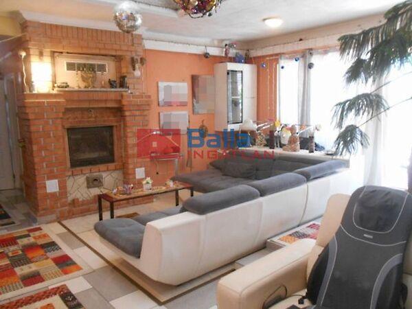 Fa neves, Érd 3. képe