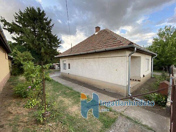 Akácfa , Hort 2. képe