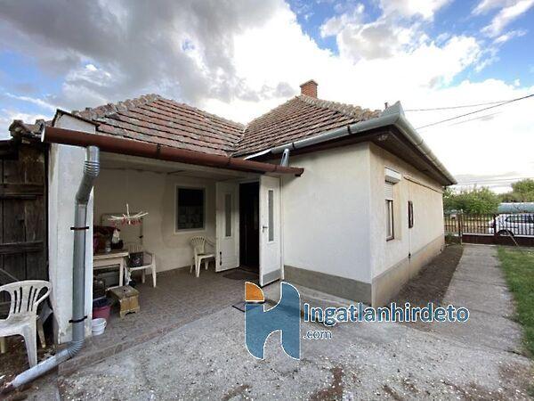 Akácfa , Hort 3. képe