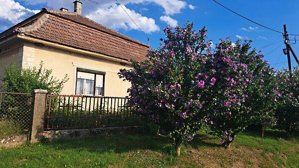 Fő út, Vilmány képe