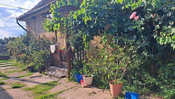 Fő út, Vilmány 3. képe