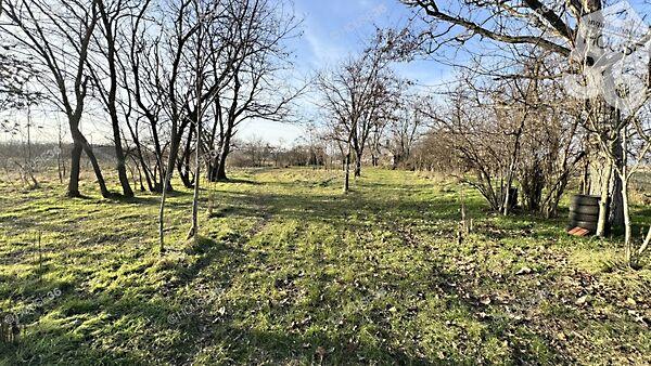 Talfája, Kecskemét képe