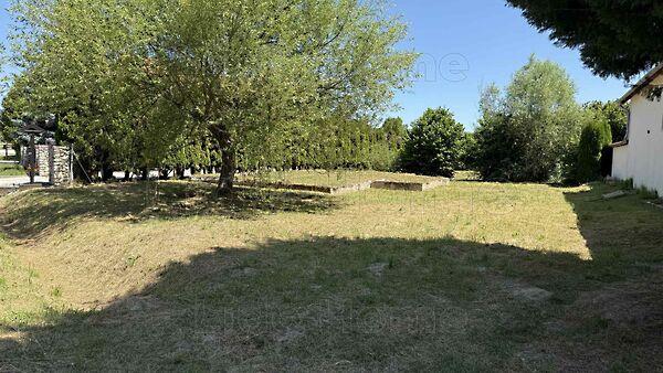 Kehidakustány képe