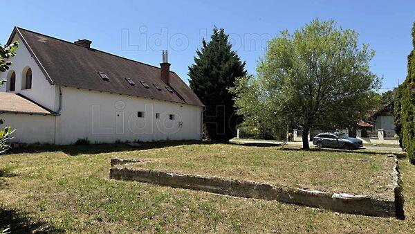 Kehidakustány 3. képe