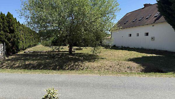 Kehidakustány 2. képe