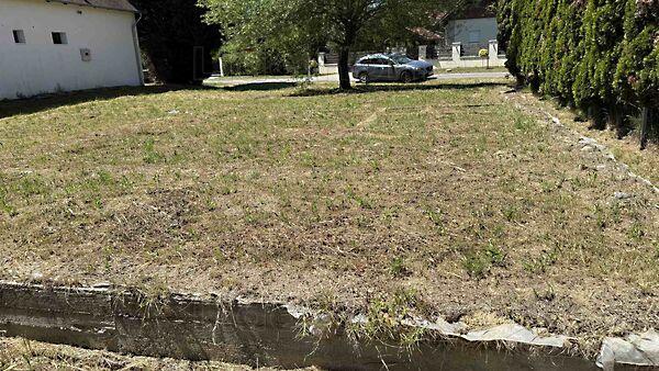 Kehidakustány 3. képe