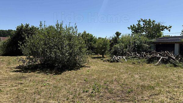 Kehidakustány 3. képe