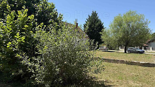 Kehidakustány 2. képe