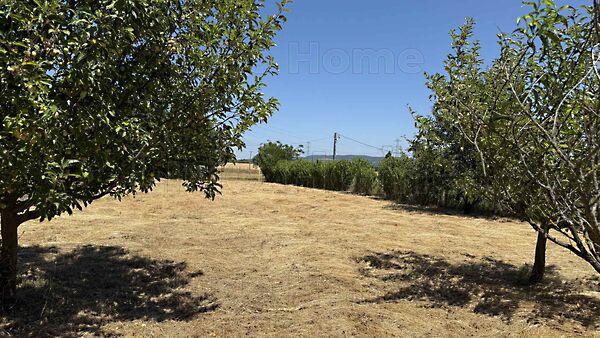 Felsőpáhok 3. képe