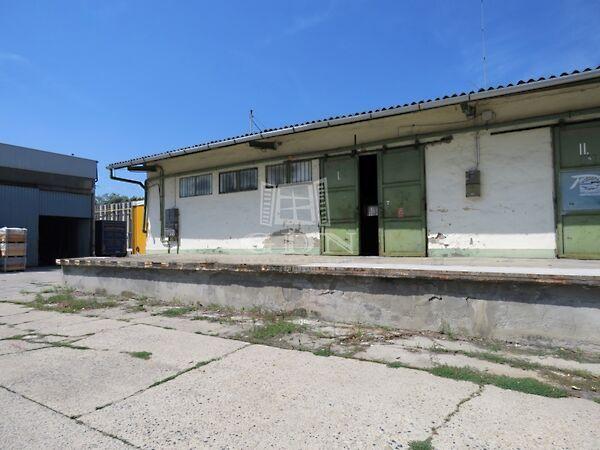 Seregélyesi, Székesfehérvár képe