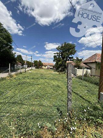 Toldi Miklós, Szabadszállás képe