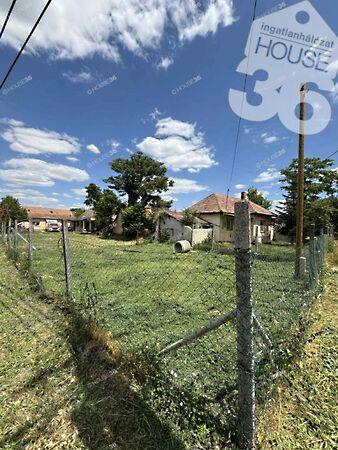 Toldi Miklós, Szabadszállás 2. képe