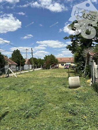 Toldi Miklós, Szabadszállás 3. képe