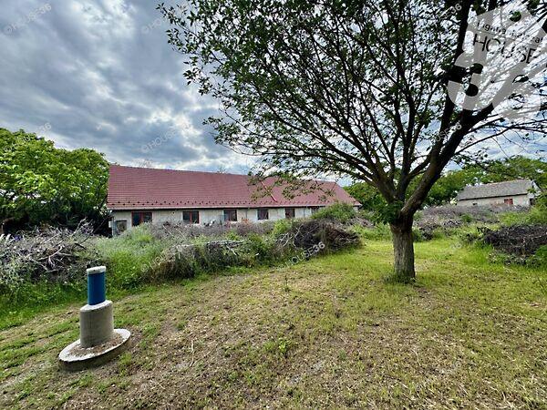 Kiskunmajsa 3. képe