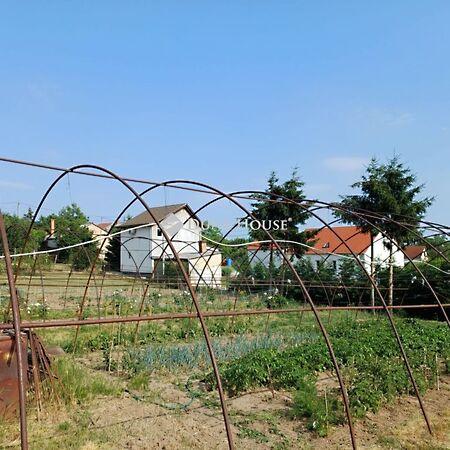 Cserkúti, Pécs 2. képe