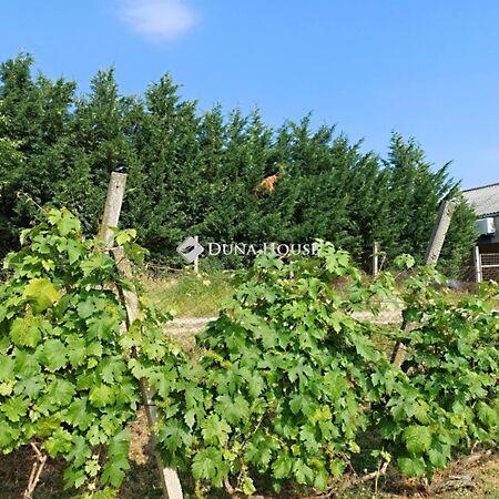 Cserkúti, Pécs 3. képe