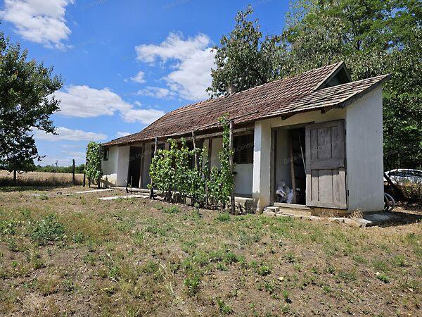 Jánoshalma 3. képe