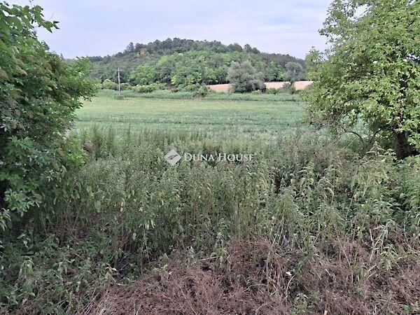 Petőfi Sándor, Máriahalom 3. képe