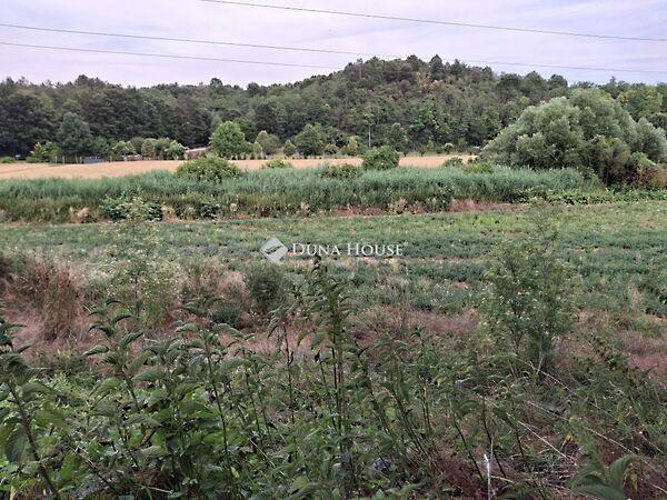 Petőfi Sándor, Máriahalom 2. képe