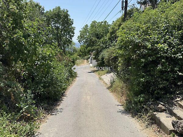 Nagyszkókói, Pécs 3. képe