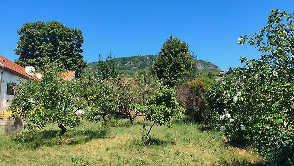 Badacsonytördemic 3. képe