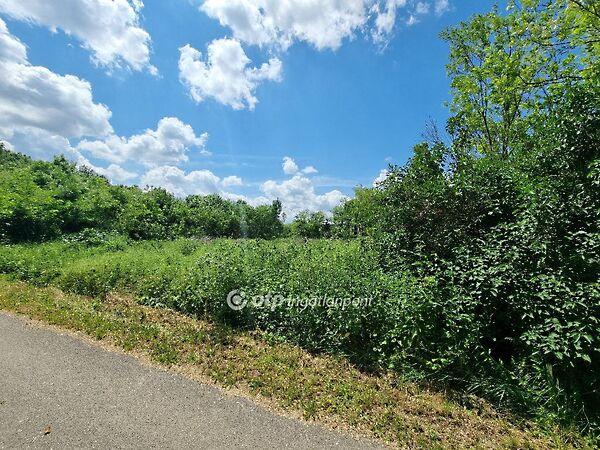 Mihályháza 3. képe