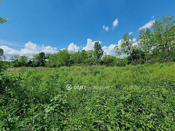 Mihályháza 2. képe