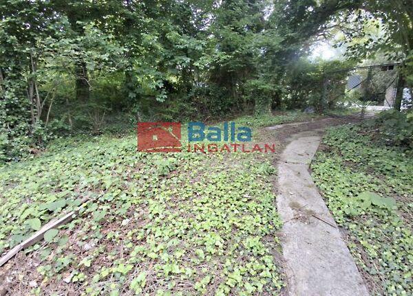 Vízközeli, Balatonvilágos képe