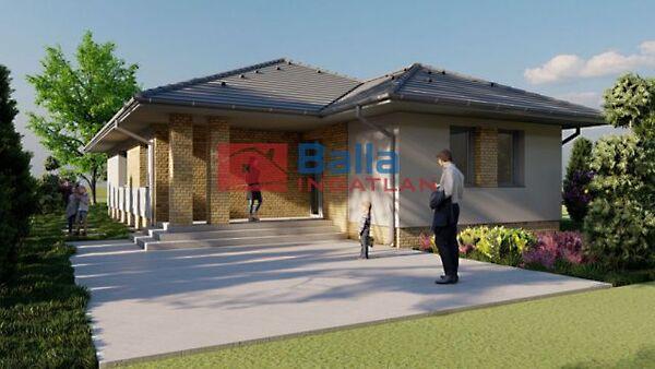 Wass Albert, Tiszakécske képe