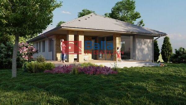 Wass Albert, Tiszakécske 2. képe