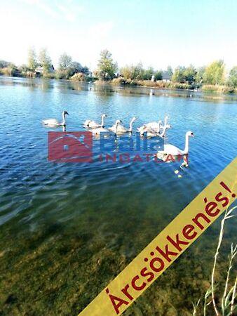 Bányász, Délegyháza képe