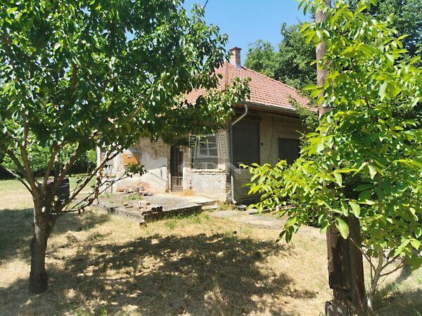 Szentpéterúr képe