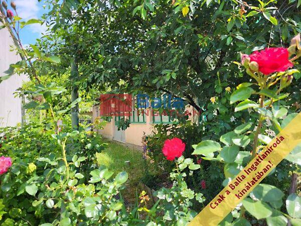 Somogyi Béla utca, Szob képe