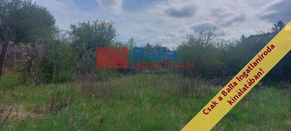 Ezüstgaras, Budapest, XXII. kerület képe