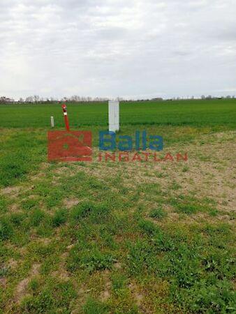 Béke utca közeli, Áporka 2. képe